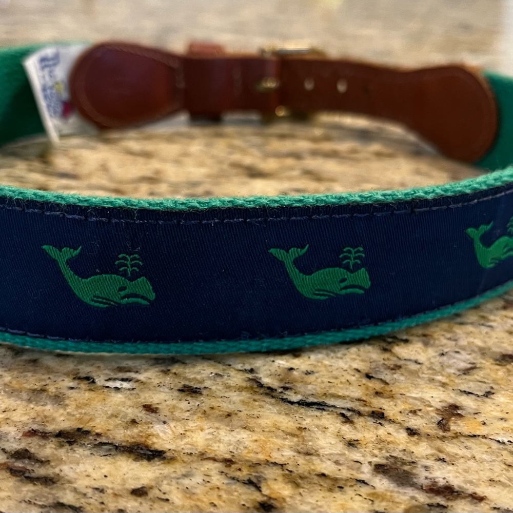 The Bailey Belt Whale Design Blue and Green